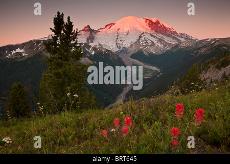 Licht auf dem Mount Rainier aus Yakima Park bei Sonnenaufgang, Mount Rainier Nationalpark, Washington. Stockfoto