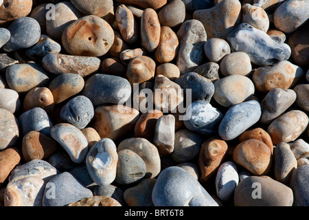 Kieselsteine am Strand Stockfoto