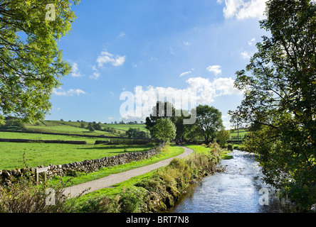 Malham Beck in das Dorf von Malham, Wharfedale, Yorkshire Dales National Park, England, UK Stockfoto
