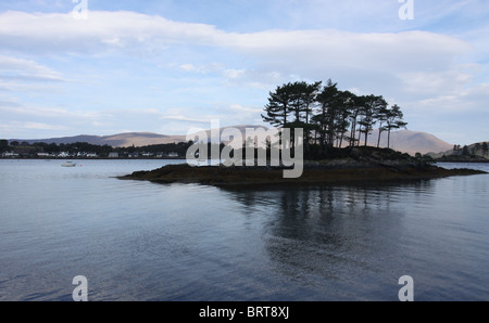 Kleine Insel mit Bäumen im Loch Carron mit plockton Schottland Oktober 2010 Stockfoto