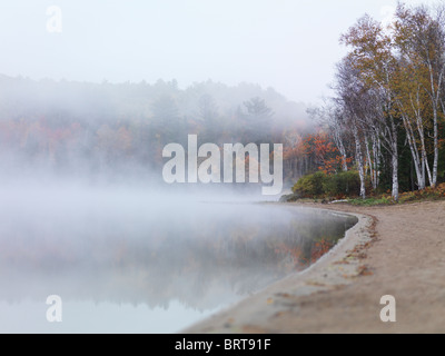 Fallen Sie am frühen Morgen Naturkulisse der Nebel auf die Pfeilspitze See. Pfeilspitze provinzieller Park, Ontario, Kanada. Stockfoto