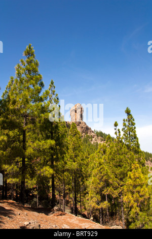 Roque Nublo ist eines der berühmtesten Wahrzeichen auf der Insel Gran Canaria. Stockfoto