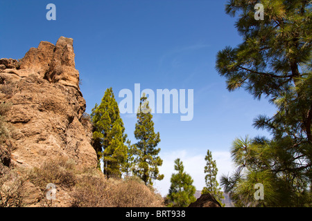 Roque Nublo ist eines der berühmtesten Wahrzeichen auf der Insel Gran Canaria. Stockfoto