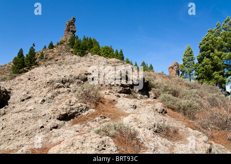 Roque Nublo ist eines der berühmtesten Wahrzeichen auf der Insel Gran Canaria. Stockfoto