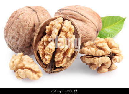 Walnüsse mit Blatt isoliert auf einem weißen Hintergrund. Stockfoto