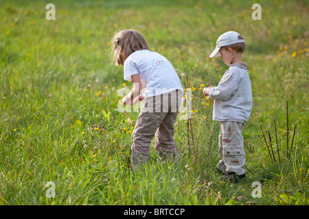 zwei kleinen Kindern auf einer Wiese Blumen pflücken Stockfoto