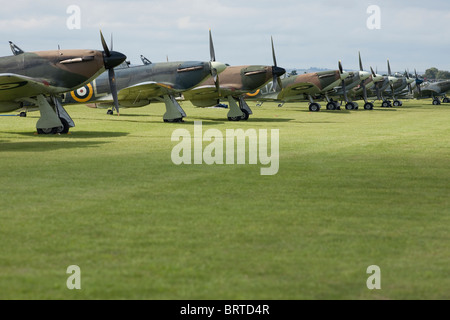 Eine beeindruckende Reihe von 3 Hurrikane und 7 Spitfires auf dem Rasen in der Sonne Stockfoto