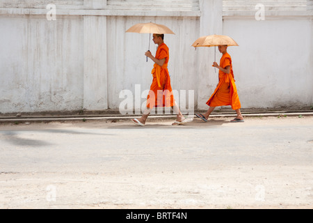 Zwei Mönche auf der Straße tragen Regenschirme vor einer weißen Tempelwand Stockfoto
