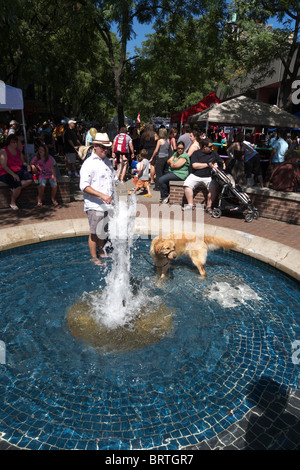 Mann und sein Hund Abkühlung in einen Brunnen. Stockfoto