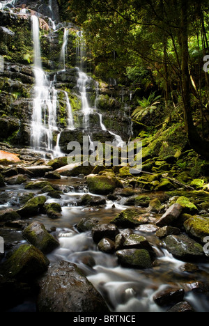 Nelson verliebt sich in die schöne Franklin - Gordon Wild Rivers National Park, Tasmanien, Australien. Stockfoto