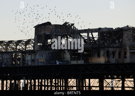 Die Überreste der Hastings Pier, die durch Feuer, 5. Oktober 2010 zerstört wurde. Stockfoto