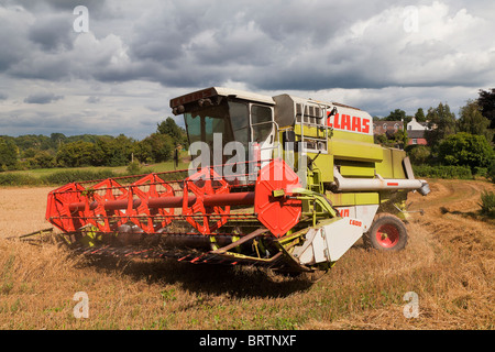 KOMBINIEREN SIE MÄHDRESCHER ERNTEN HAFER IM SPÄTSOMMER ENGLAND UK Stockfoto