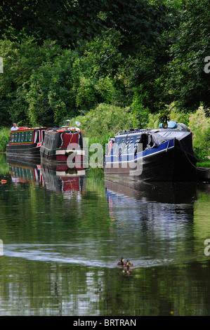 Ein paar schmale Boote vertäut am Kennett und Avon Kanal in Bradford-on-Avon, Wiltshire, UK Stockfoto