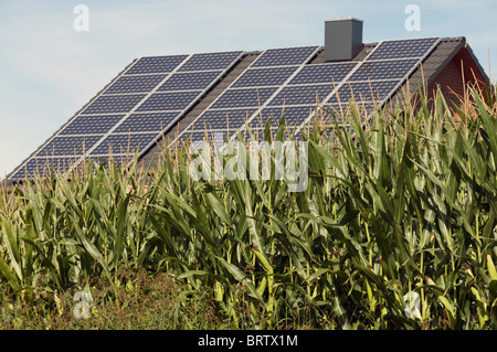 Labyrinth für die Erzeugung von Biogas in der Nähe ein Haus gewachsen mit Solaranlagen ausgestattet Stockfoto