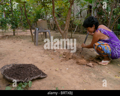 Kambodscha Ms Hom Kimsroy, 57, macht ihren eigenen Kompost zu Hause in der Siedlung Slum von San Sok, Stockfoto