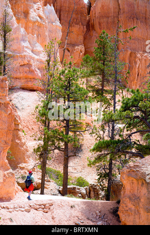 Durch Bruce Canyon wandern Stockfoto