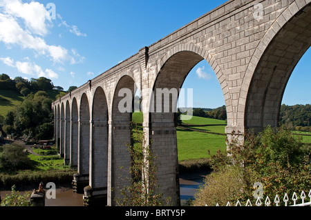 Calstock Viadukt, Eisenbahn, die Überquerung des Flusses Tamar Devon Cornwall mit Stockfoto