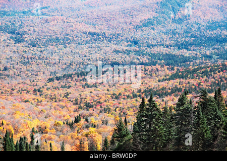 Die Farben des Herbstes in Mont-Tremblant, Quebec, Kanada Stockfoto