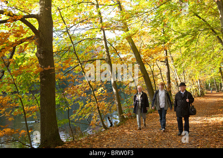 gehen für einen Spaziergang in einem herbstlichen Wald Stockfoto