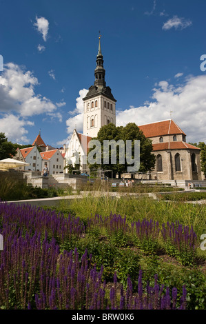 Niguliste Kirche, Tallinn, Estland, Baltikum Stockfoto