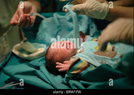 Neugeborenes Baby wird durch eine Krankenschwester und ein Arzt untersucht. Stockfoto
