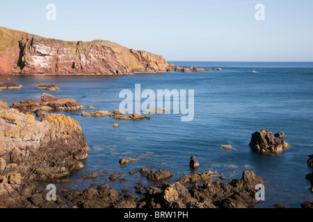 St. Abbs, Berwickshire, Schottland, Schottland, Großbritannien. Blick entlang der zerklüfteten Küste St. Abbs Head Nature Reserve auf Ostküste Stockfoto