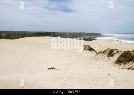 Blick von den Sanddünen auf Sardinien Bucht in der Nähe von Port Elizabeth in Südafrika Stockfoto