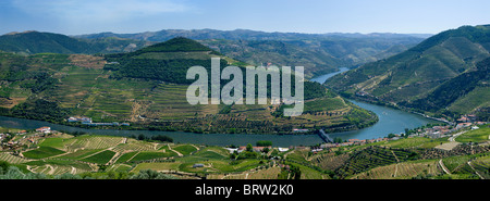 Portugal, das Alto Douro, das Douro Tal, Pinhao im Hafen Wein Bezirk vom Miradouro de Casal de Loivos Stockfoto