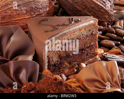 Stück Sacher-Torte mit Schoko-Fan, Kakaofrüchte und Kakaobohnen Stockfoto