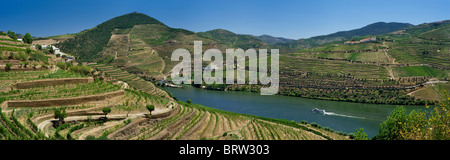 Portugal, Alto Douro, Douro-Tal, in der Nähe von Pinhao Stockfoto