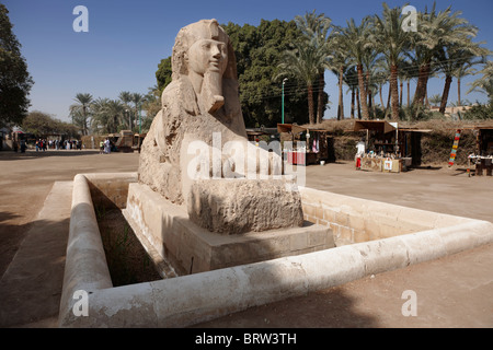 Alabaster Sphinx, Memphis, Ägypten, Arabien, Afrika Stockfoto