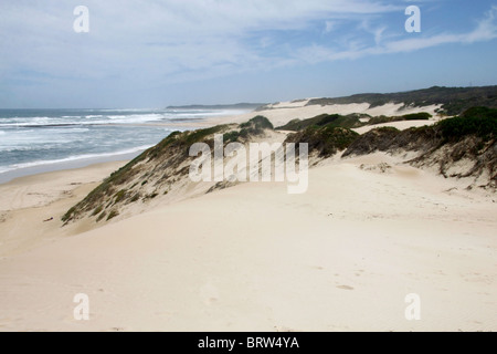 Blick von den Sanddünen auf Sardinien Bucht in der Nähe von Port Elizabeth in Südafrika Stockfoto