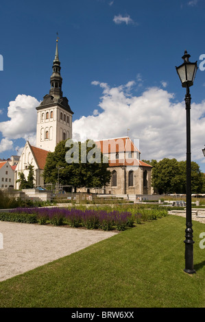 Niguliste Kirche, Tallinn, Estland, Baltikum Stockfoto