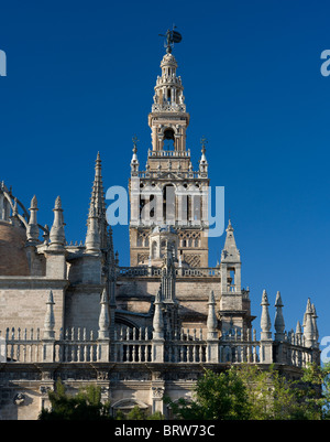 Spanien, Sevilla und La Torre De La Giralda Kathedrale Stockfoto