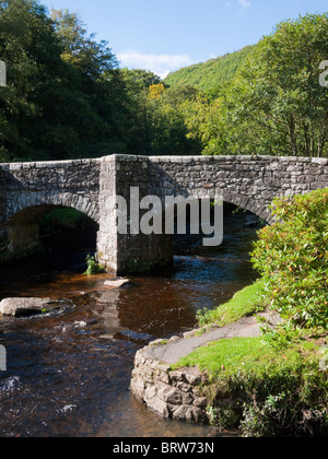 Fingle Brücke über den Fluss Teign im Dartmoor Nationalpark. Drewsteignton, Devon, England. Stockfoto