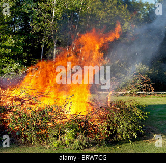 Schrubber-Haufen mit einem riesigen prasselnden Feuer verschlingt die Bäume Stockfoto