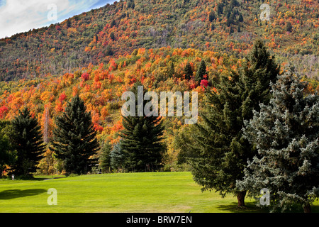 schöner Golfplatz am Rande des Waldes, im Herbst mit Herbstfarben in den Boden zurück genommen Stockfoto