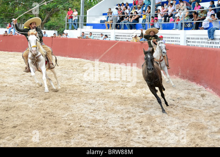 Xmatkuil, Yucatan / Mexiko - November 12: Charro Turnier während der Xmatkuil-Messe Stockfoto