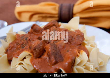 Closeup Teller mit Beef Stroganoff über Ei-Nudeln mit sauce Stockfoto