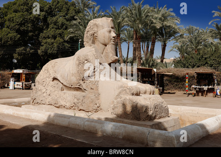 Alabaster Sphinx, Memphis, Ägypten, Arabien, Afrika Stockfoto