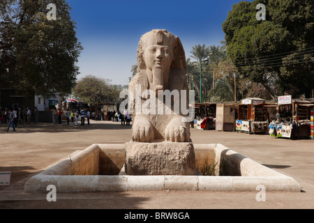 Alabaster Sphinx, Memphis, Ägypten, Arabien, Afrika Stockfoto