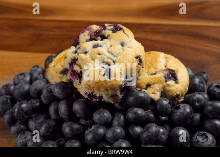 Blaubeer-Muffins auf einem Stapel von frischen Heidelbeeren sitzen auf einem Schneidebrett Stockfoto