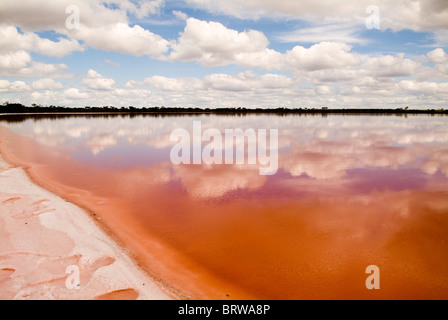 Die bemerkenswerte Salzsee, Pink Lake, unweit von Dimboola, Australien. Stockfoto