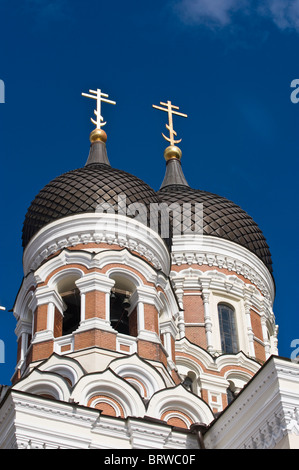 Alexander-Newski-Kathedrale, Tallinn, Estland, Baltikum Stockfoto