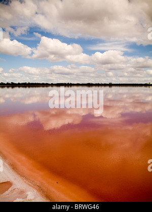 Die bemerkenswerte Salzsee, Pink Lake, unweit von Dimboola, Australien. Stockfoto