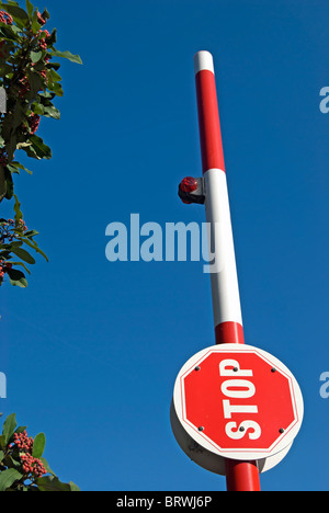 rot und weiß angehoben Verkehrssperre mit Stop-Schild auf die südliche Zufahrt nach Hammersmith Bridge, London, england Stockfoto