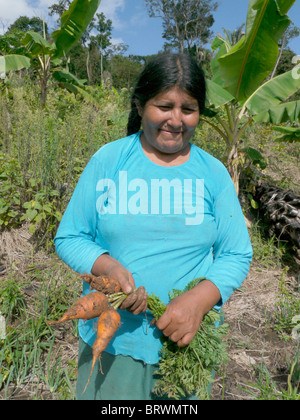 Bolivien ECOTOPS Projekte in Alto Beni. Foto von Sean Sprague Stockfoto