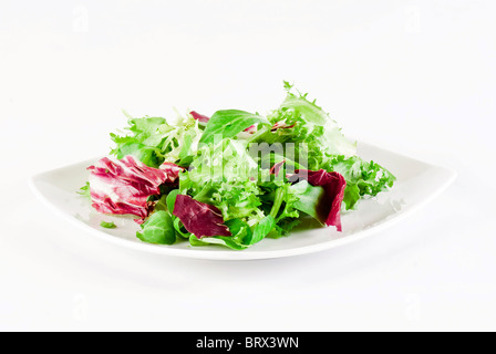 Mischung aus knackig und süß Salat Blätter auf weißem Hintergrund Stockfoto