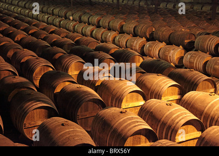 FÄSSER COGNAC IN DEN KELLERN DER MERPINS, CHARENTE (16), REMY MARTIN, FRANKREICH Stockfoto