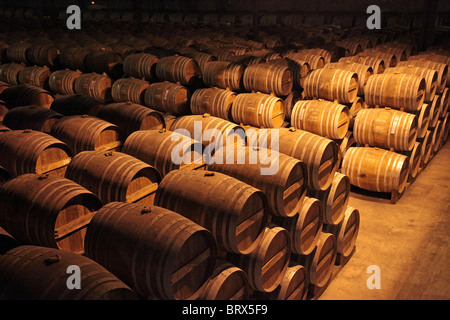 FÄSSER COGNAC IN DEN KELLERN DER MERPINS, CHARENTE (16), REMY MARTIN, FRANKREICH Stockfoto